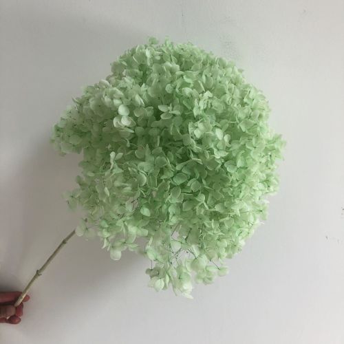 DIY Living Room Table Decoration Decoration Decoration Yongsheng Flower